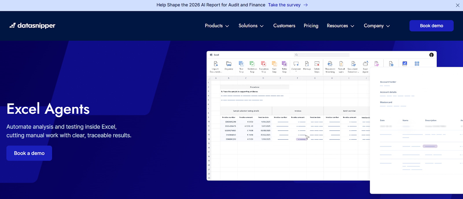 DataSnipper Excel formula bot homepage