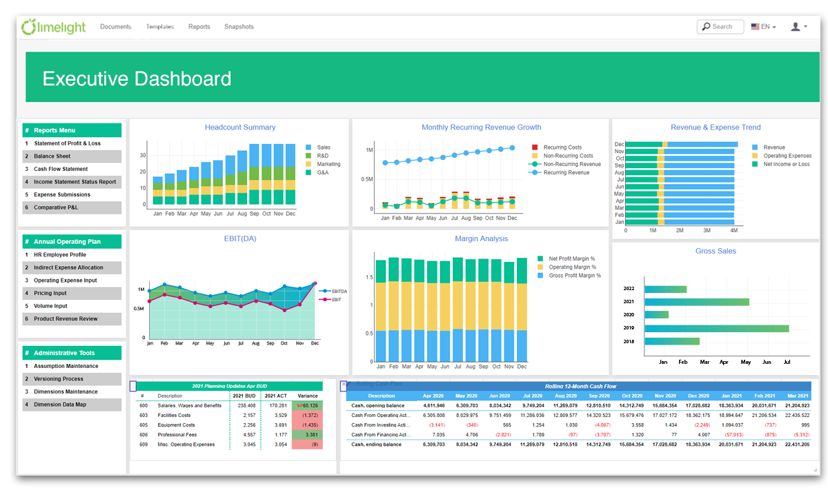 Executive summary dashboard with revenue, headcount, margin, and expense views