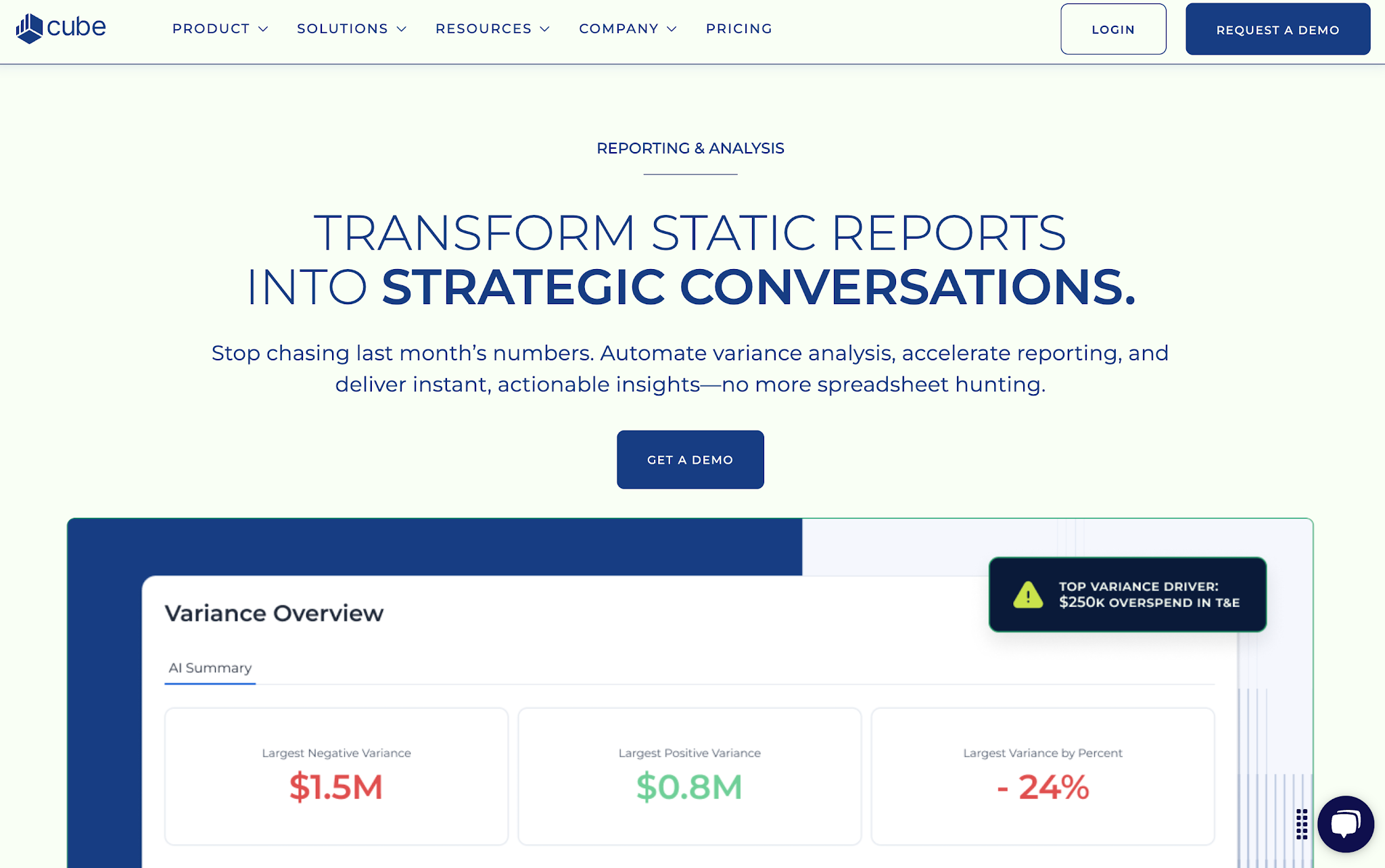 Cube reporting and analysis page with variance and management-reporting features