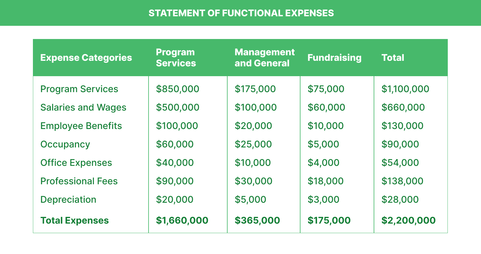 Statement of Functional Expenses example