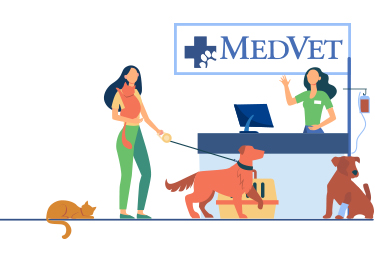 casestudy_thumb - MedVet_04